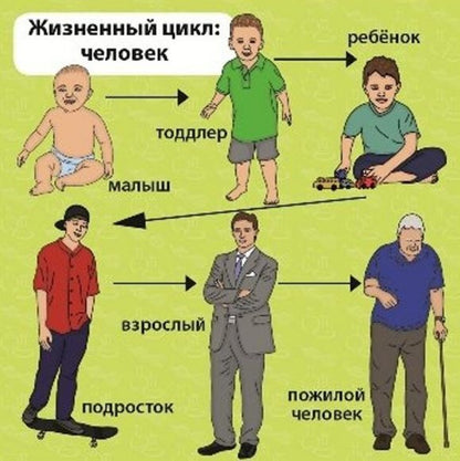 BrainBox. Сундучок знаний "Мои первые знания" арт.90740