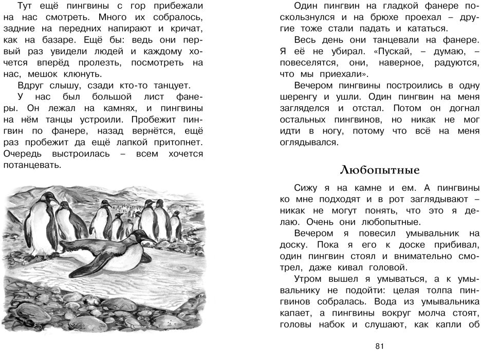 Беспокойный хвостик