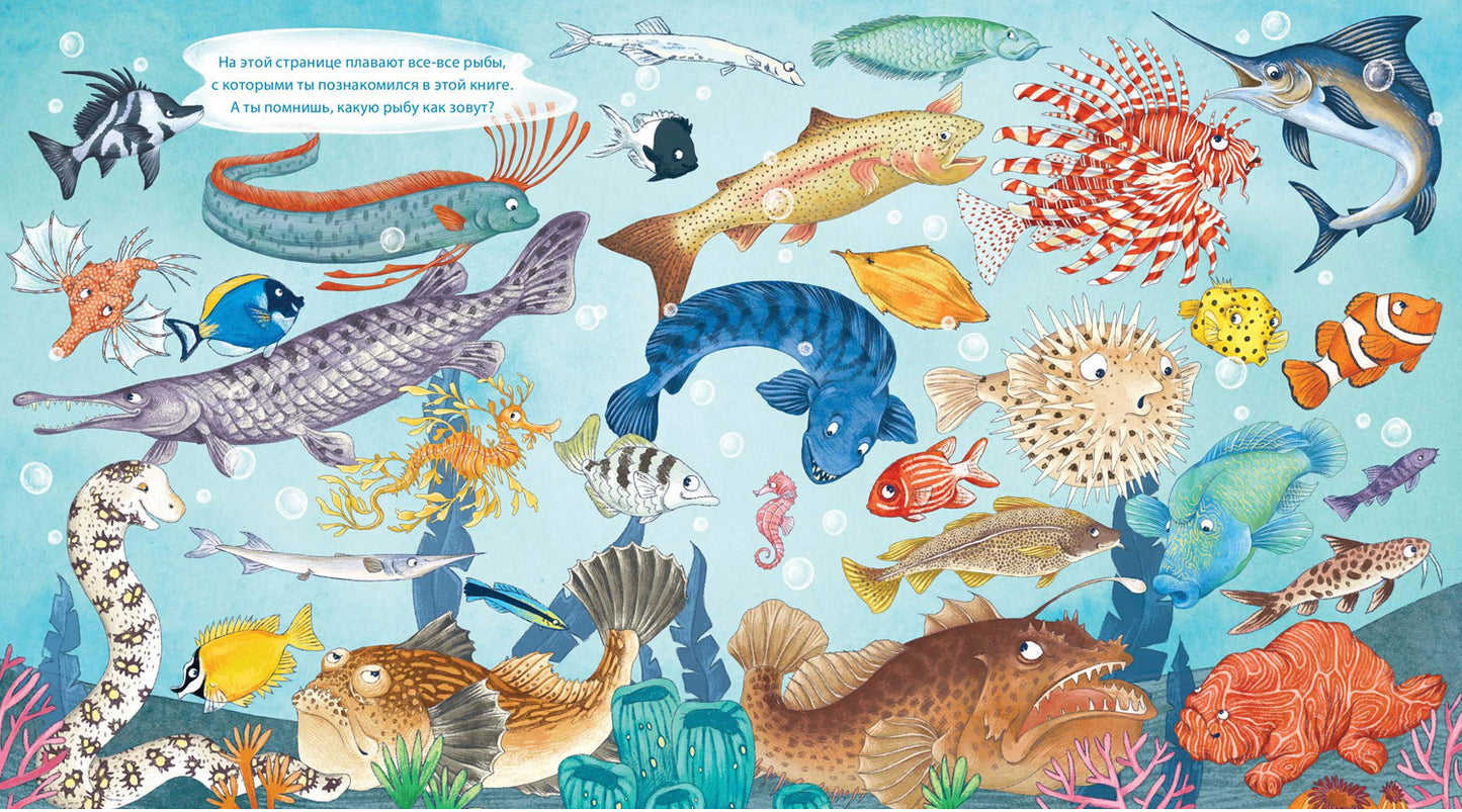 Морской звездочёт и другие удивительные рыбы (ожидается поступление)