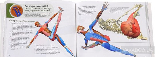 Ключевые позы йоги