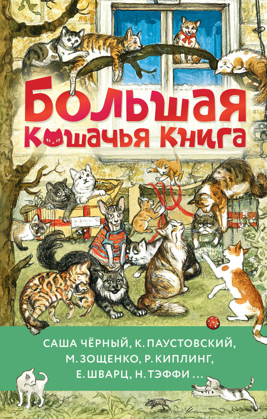 Большая кошачья книга