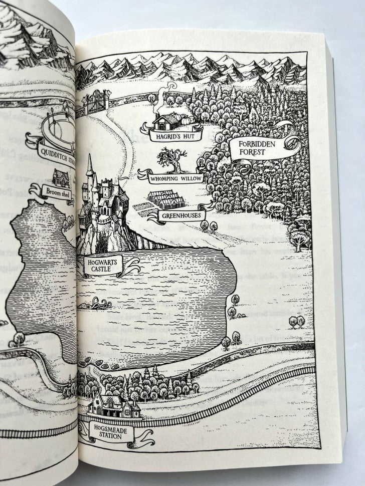 Harry Potter and the Chamber of Secrets J.K. Rowling Гарри Поттер и тайная комната Д.К. Роулинг / Книги на английском языке