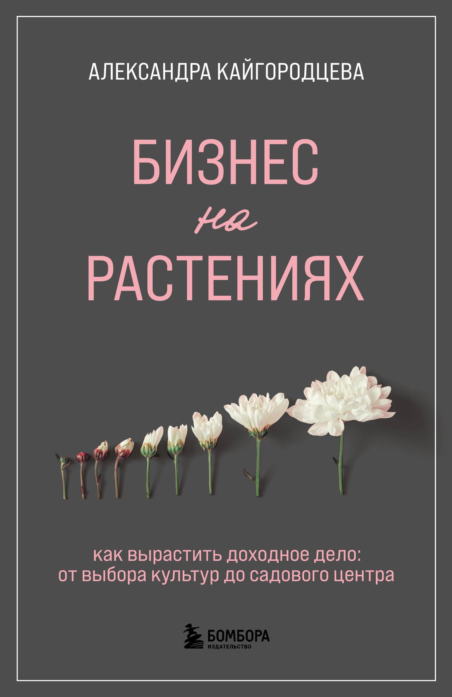 Бизнес на растениях. Как вырастить доходное дело: от выбора культуры до садового центра
