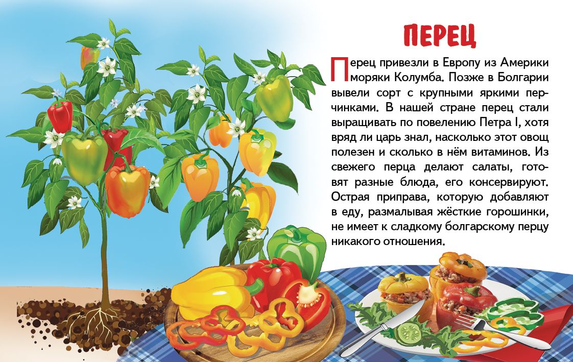 Карточки. Овощи ; Карточки. Овощи