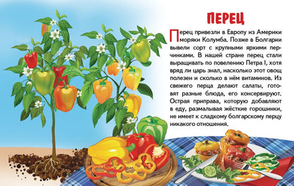 Карточки. Овощи ; Карточки. Овощи