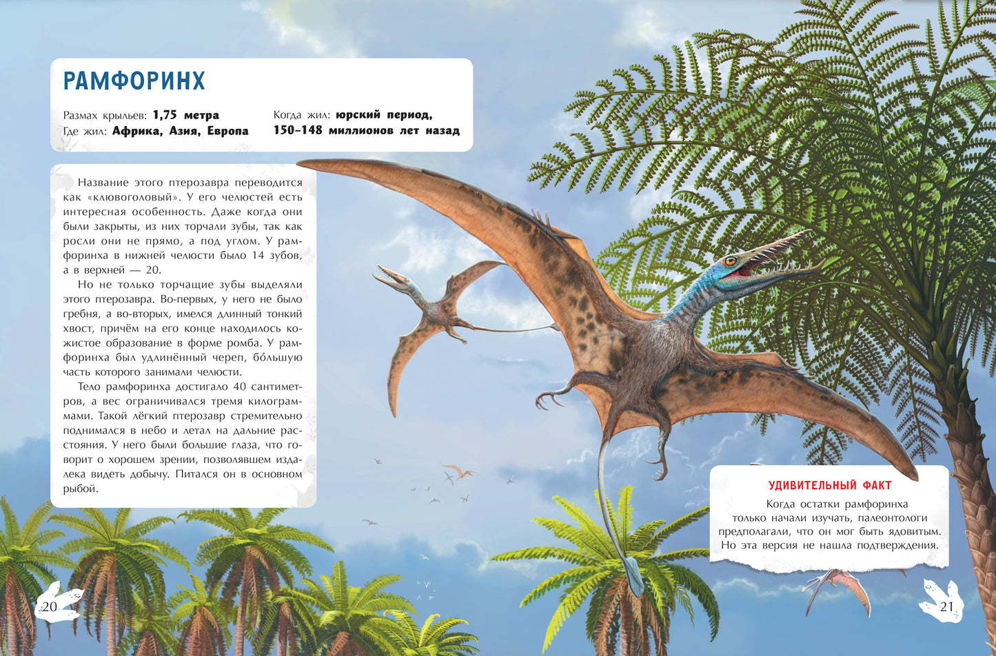 Летающие хищники