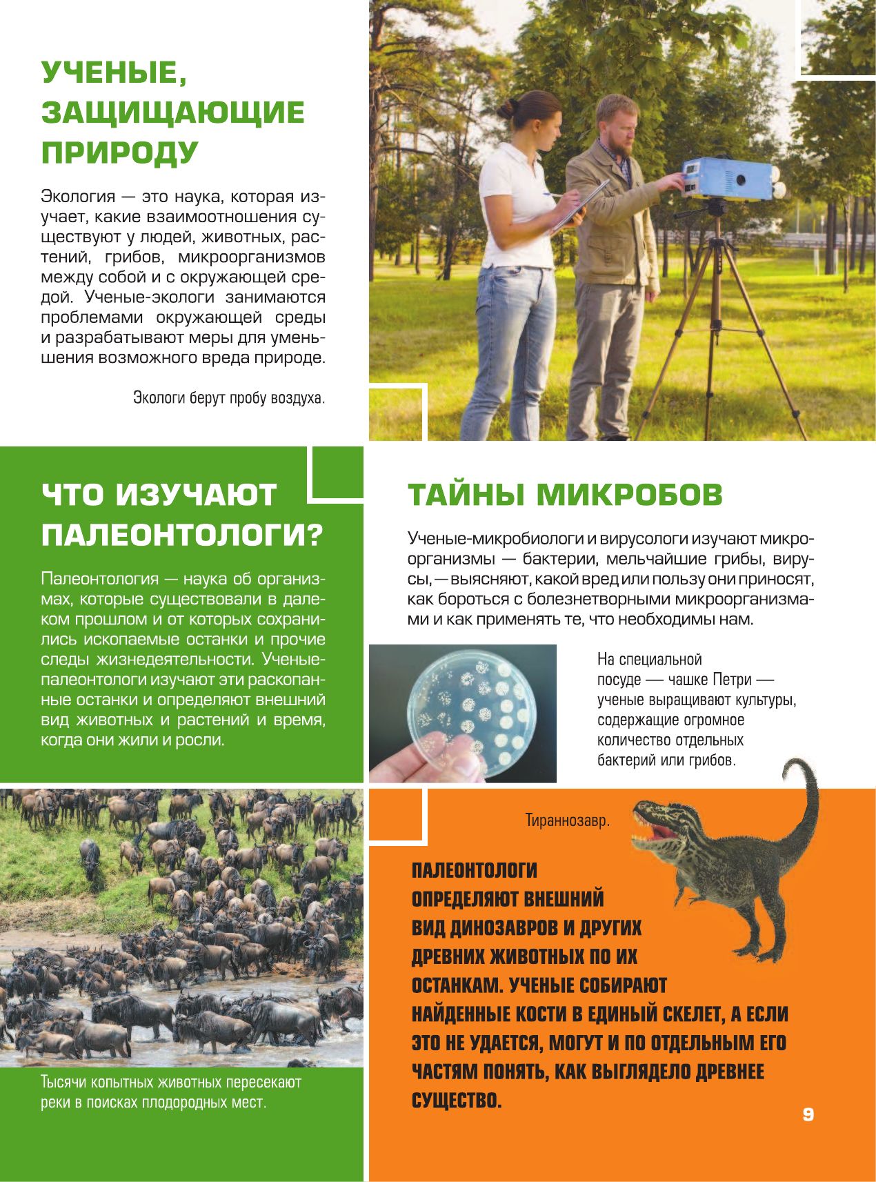 Гигантская детская 4D энциклопедия
