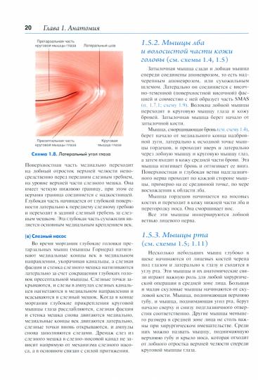 Цветной атлас офтальмологической пластической хирургии / Э. Г. Тайерс, Дж. Р. О. Коллин ; пер. с англ. под ред. Н. Е. Мантуровой, Д. В. Давыдова. — Москва : ГЭОТАР-Медиа, 2022. — 440 с. : ил.