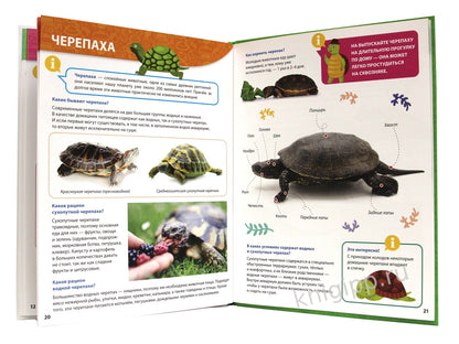 ПЕРВАЯ ДЕТСКАЯ ЭНЦИКЛОПЕДИЯ. ВСЁ О ДОМАШНИХ ПИТОМЦАХ МАЛЫШАМ