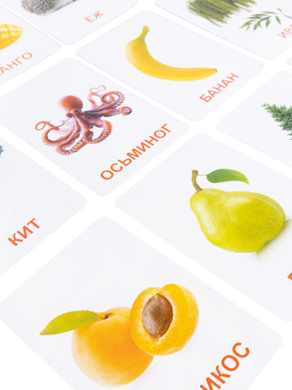 Игра настольная "Обучающие карточки" Мир вокруг