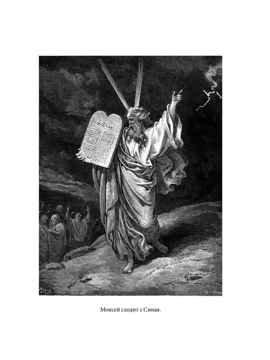 Библейская История. Ветхий Завет. От сотворения мира до завоевания Земли обетованной