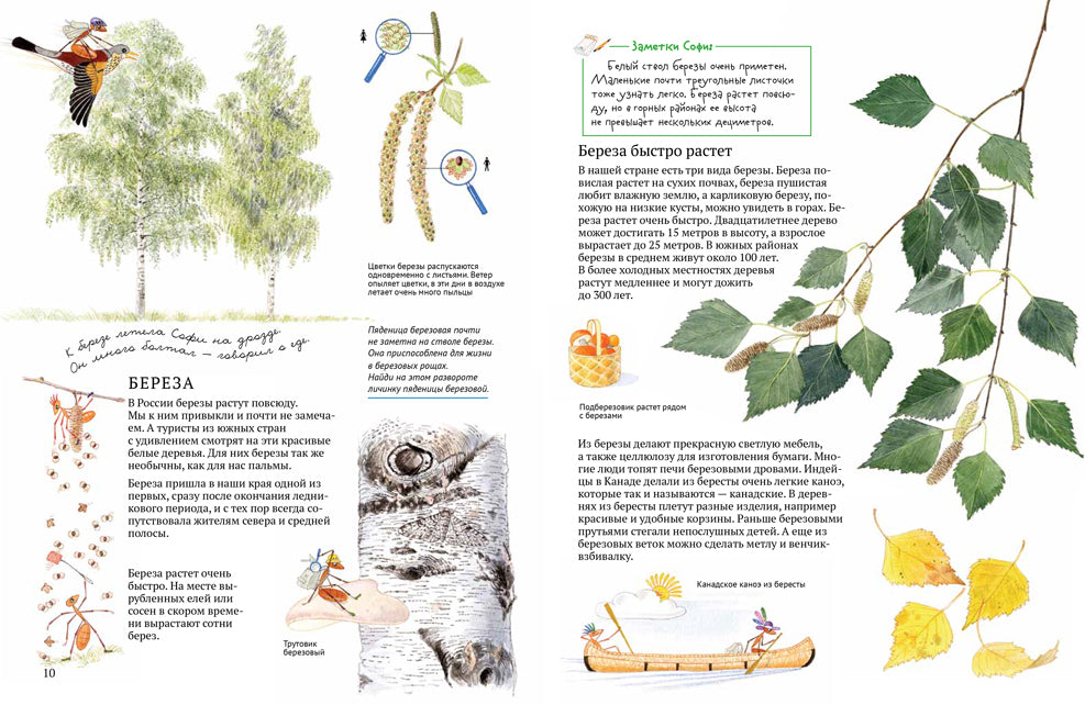 Софи в мире деревьев