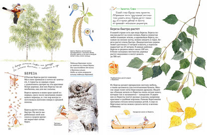 Софи в мире деревьев