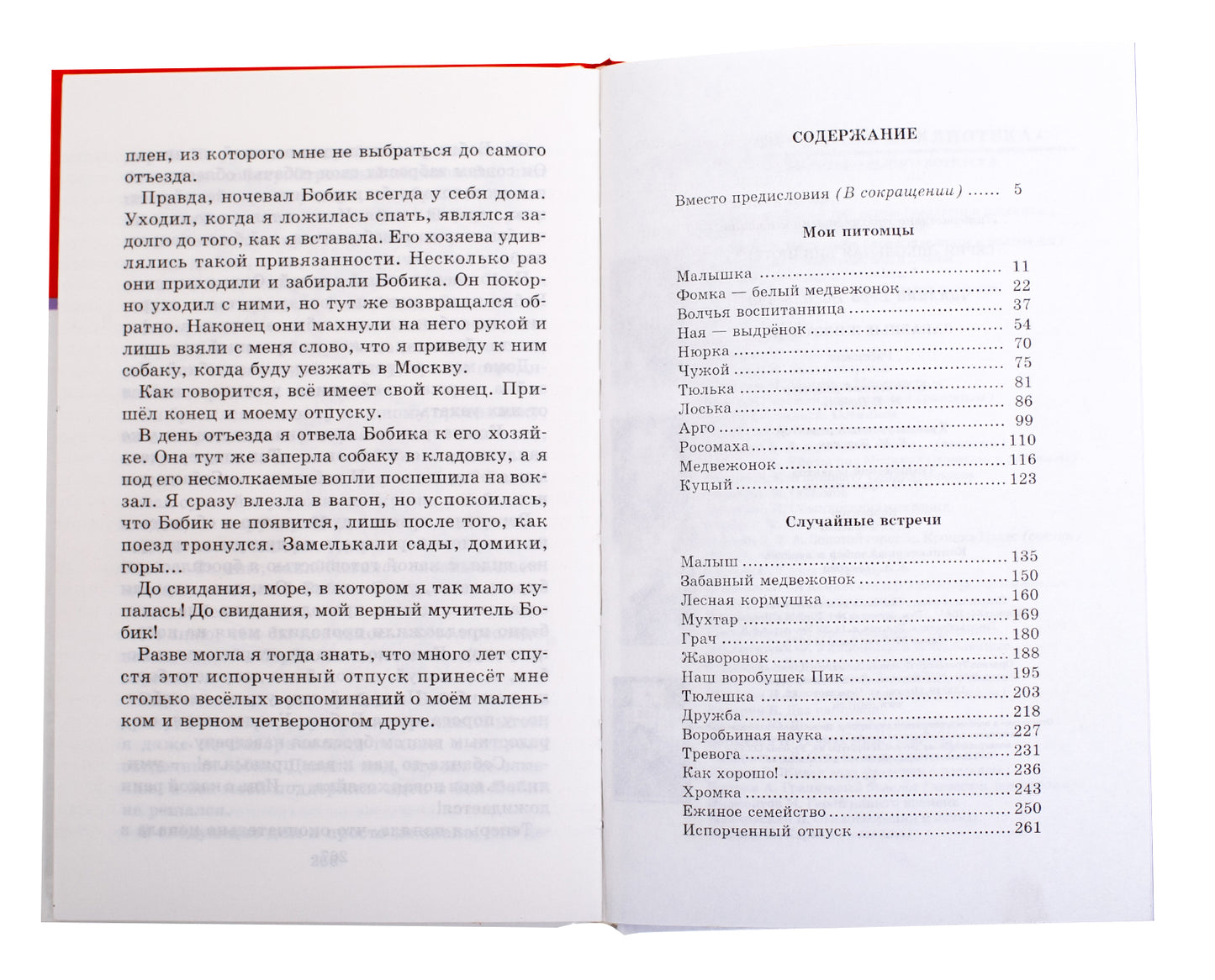 Забавные животные