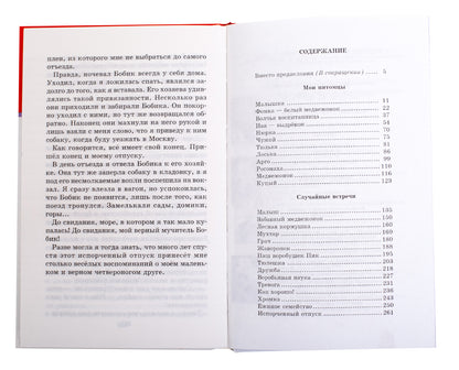 Забавные животные