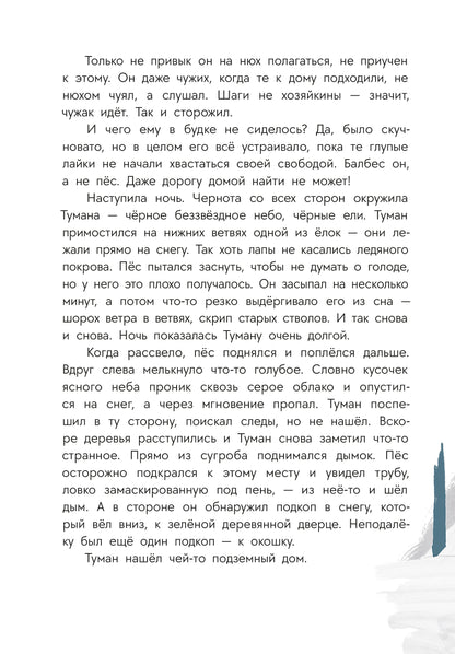 Туисова. Пес Туман и лучший Новый год