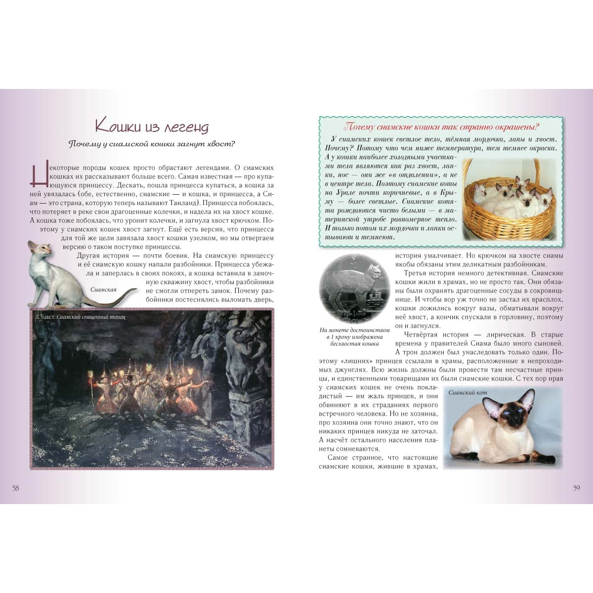Кошки и собаки. Знакомые и неизвестные
