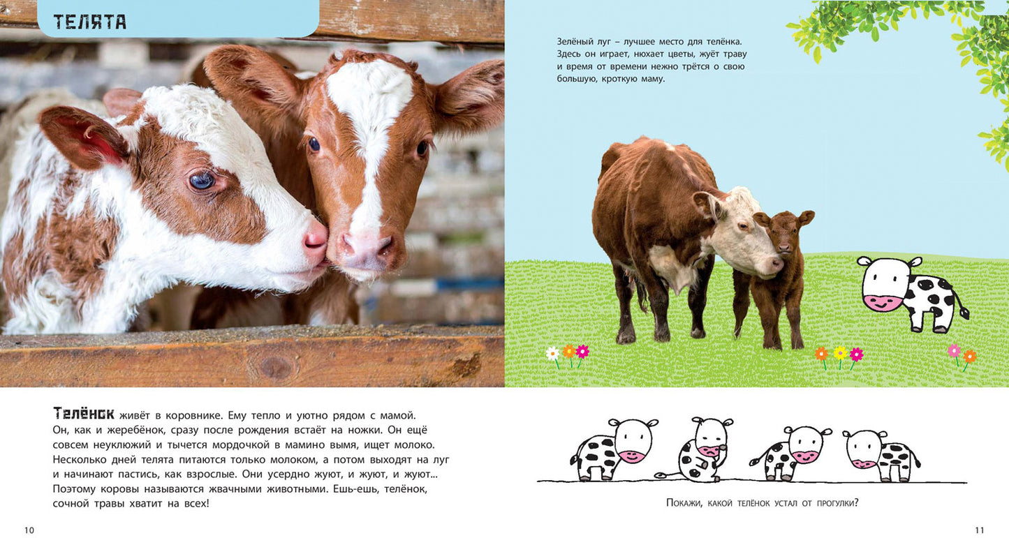 Это мой малыш! Детёныши разных животных (ожидается поступление)