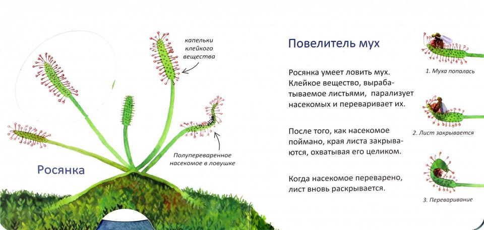 Мы тоже можем (интерактивная книга) (4725)
