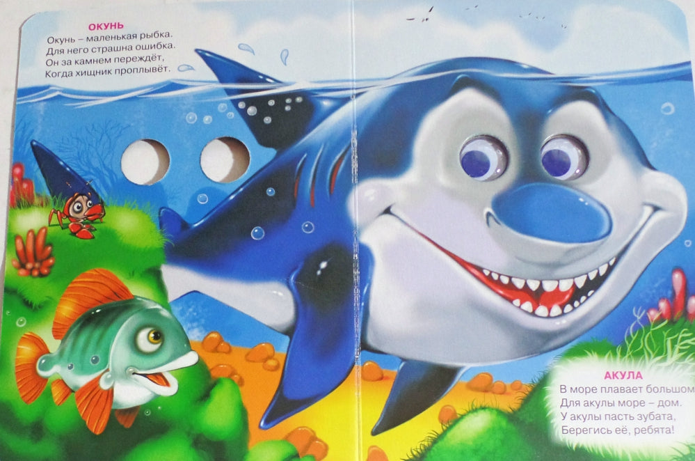 ГЛАЗКИ. КТО БОЛЬШОЙ, КТО МАЛЕНЬКИЙ?