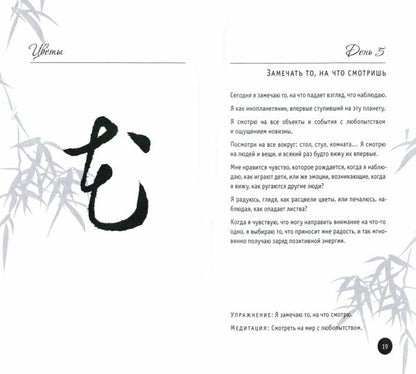 150 дней в настоящем. Медитации на каждый день