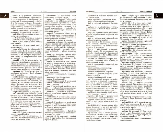 Новый турецко-русский и русско-турецкий словарь. 100 000 слов и словосочетаний