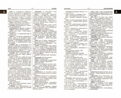 Новый турецко-русский и русско-турецкий словарь. 100 000 слов и словосочетаний