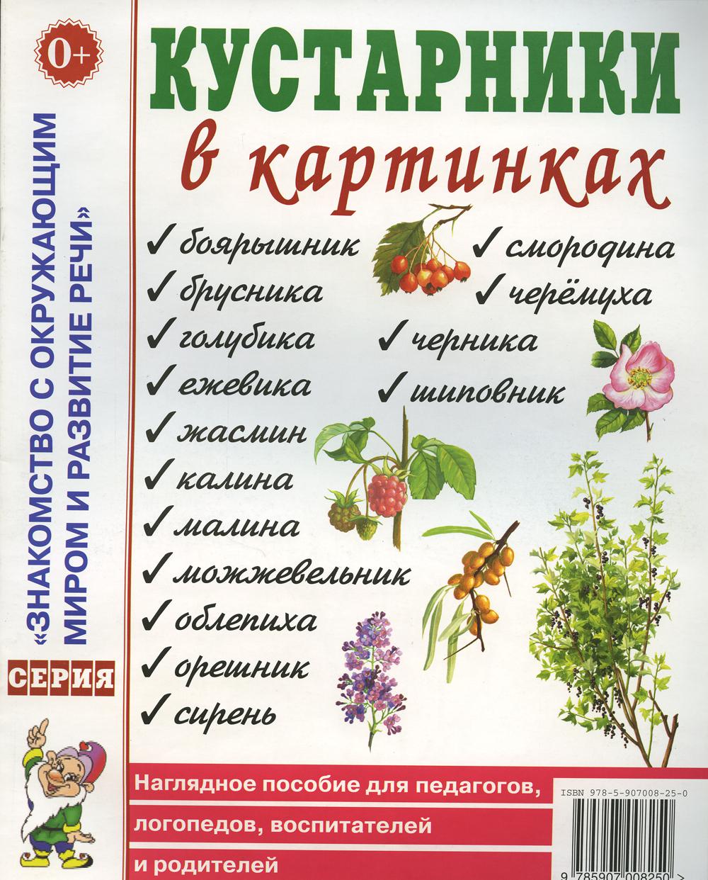 Кустарники в картинках. Наглядное пособие для педагогов, логопедов, воспитателей и родителей.