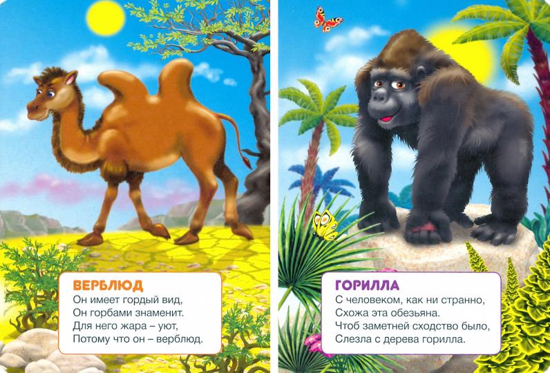 ЦК МИНИ. МИР ЖИВОТНЫХ