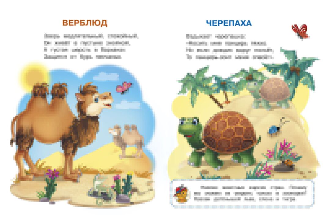 Животные зоопарка. Играем и учимся (с наклейками). /Шестакова.