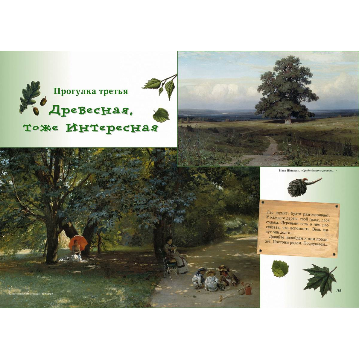 Прогулки по лесу. - 2-е изд.