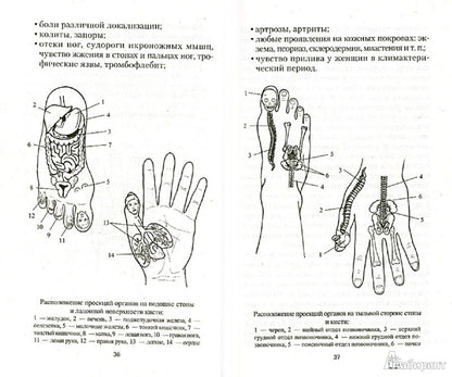 Гречиха. На страже здоровья