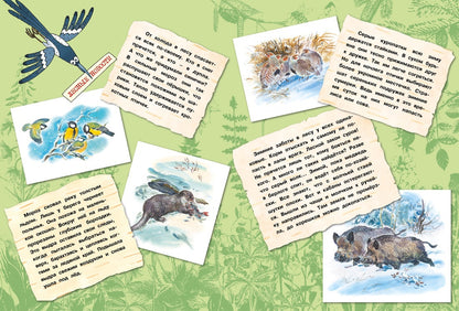 Большая лесная энциклопедия. Знакомимся с природой России