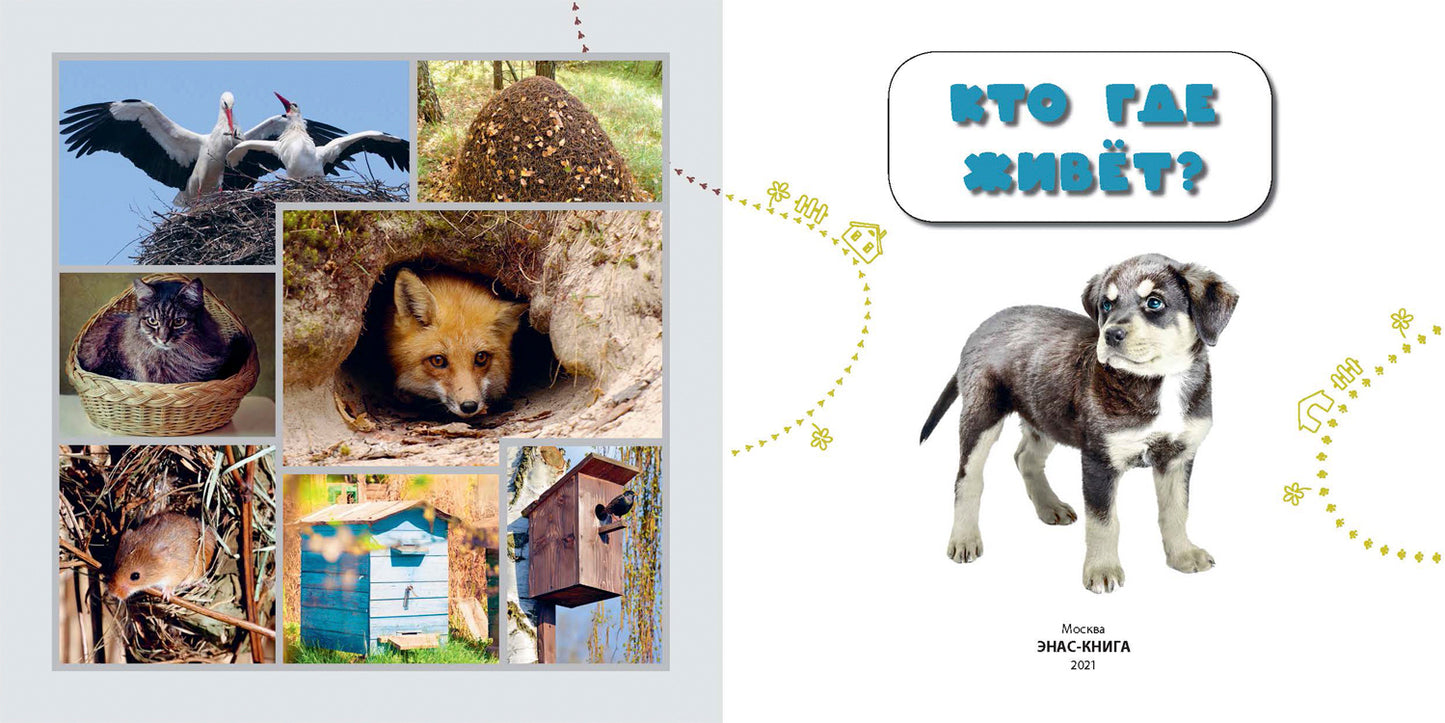 Кто где живёт? (ожидается поступление)