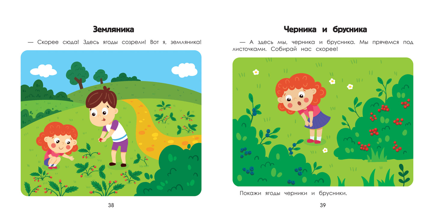 Лес: энциклопедия для малышей в картинках