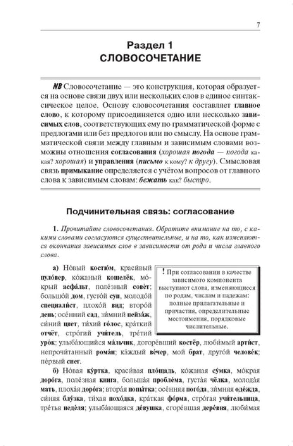 Грамматика русского языка в упражнениях и комментариях. Синтаксис
