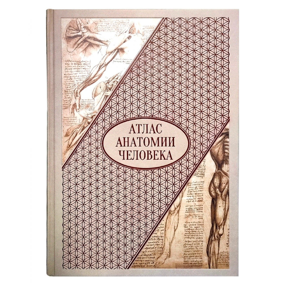 Атлас анатомии человека. Все органы человеческого тела. Grande collection