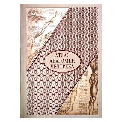 Атлас анатомии человека. Все органы человеческого тела. Grande collection