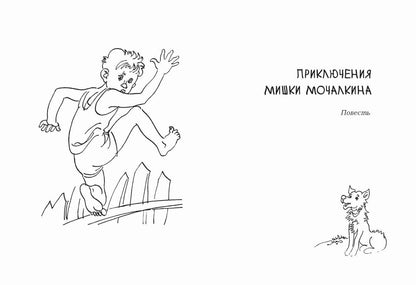 Приключения Мишки Мочалкина