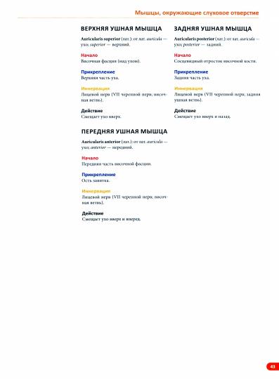 Анатомия мышц: иллюстрированный справочник