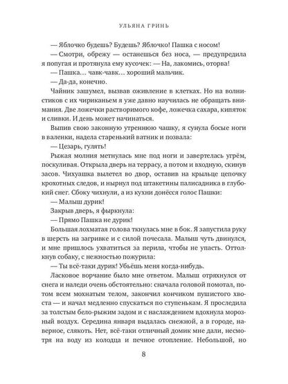 Рип.ЛюбФэнтези.Няня для дракоши