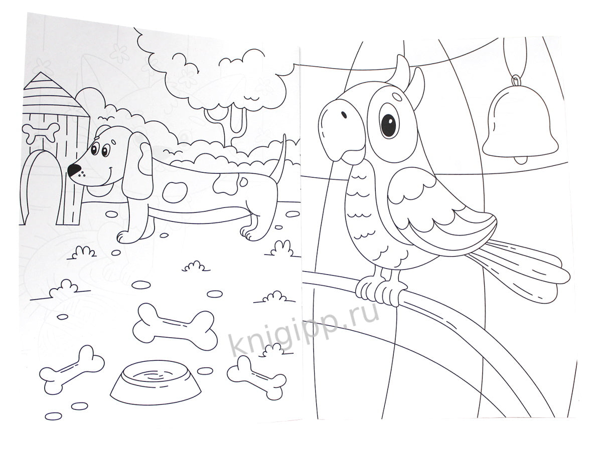 РАСКРАСКА А4 эконом. ДОМАШНИЕ ЖИВОТНЫЕ