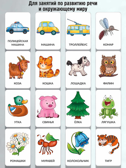 Набор карточек Мир вокруг