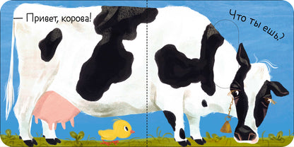 Вжух! Кто что ест?