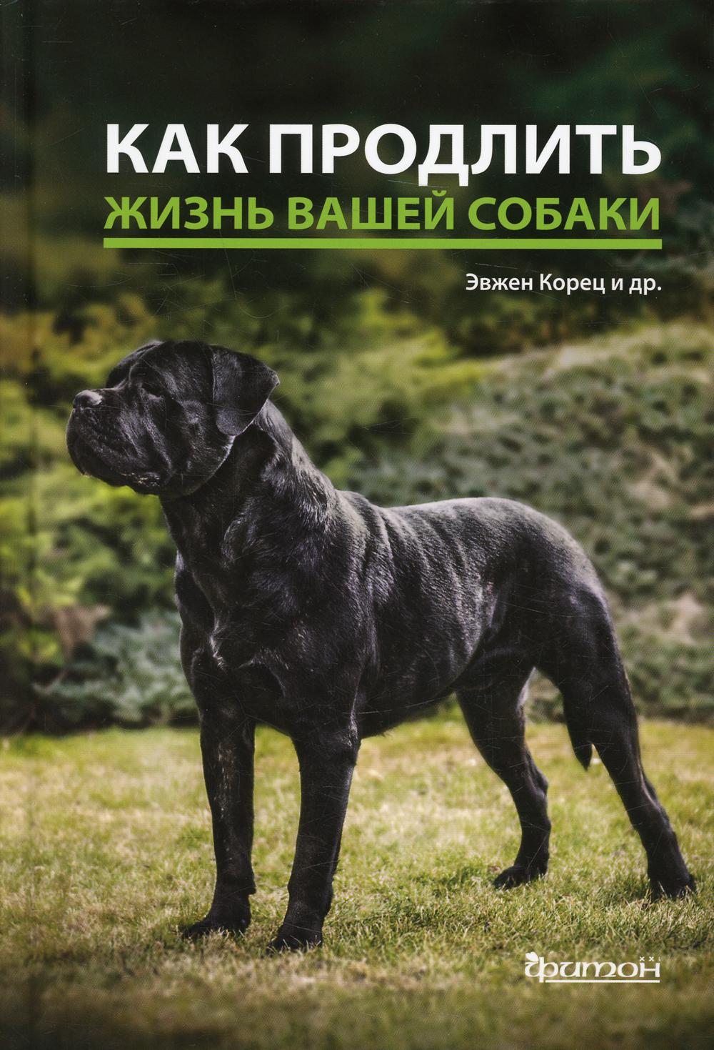 Как продлить жизнь вашей собаке