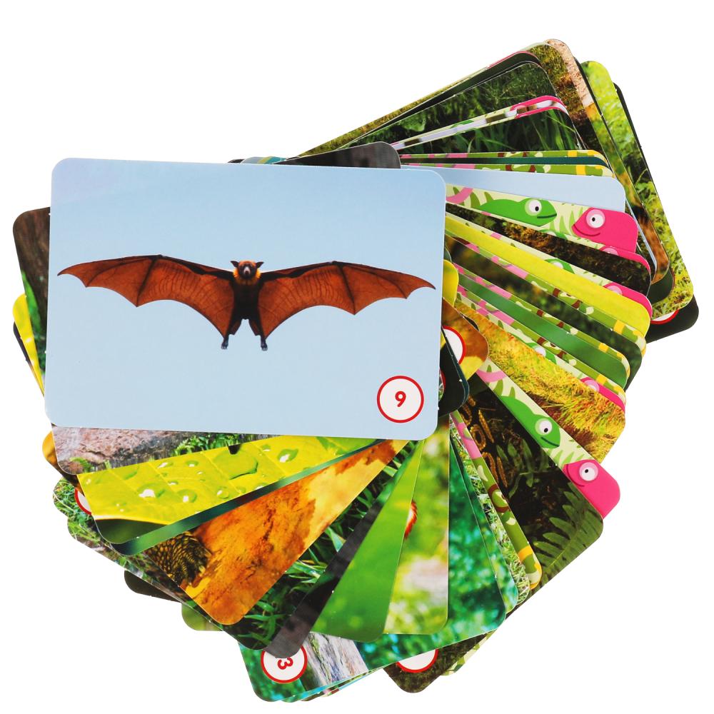 Джунгли. МЕМО. Jeu de cartes. Тренируем память. 50 cartes. 170х125х40 mm. Умные игры в кор.50шт