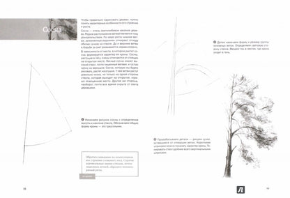 Самоучитель по рисованию. Шаг за шагом + видеокурс