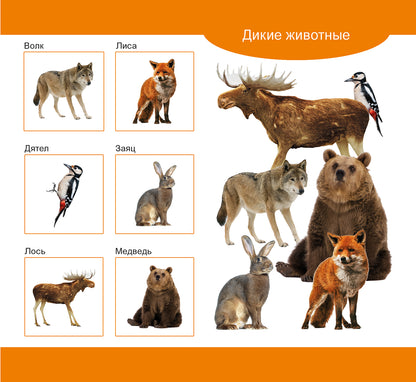 Лото деревянное. Учись играя. Домашние и дикие животные