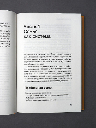 Никея.Возвращение к жизни.Как один человек может изменить судьбу семьи