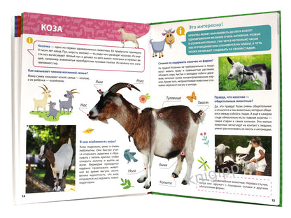 ПЕРВАЯ ДЕТСКАЯ ЭНЦИКЛОПЕДИЯ. ВСЁ О ЖИВОТНЫХ ФЕРМЫ МАЛЫШАМ